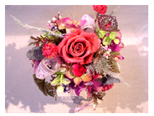 �u���C�_���@�u�[�P�@�t�����[�A�����W�����g